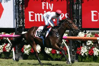 Savapinski dominated the Group 2 Matriarch Stakes at Flemington. 